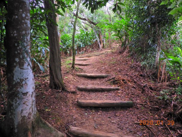 臺北市 文山 中埔山東峰817222