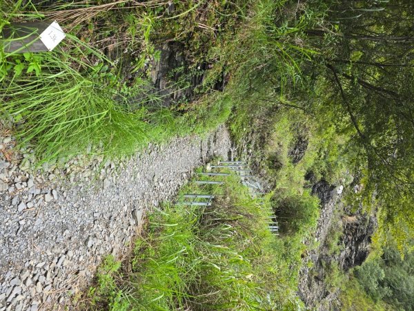 觀高山屋／龍貓公車／八通關山／八通關山西峰2927364