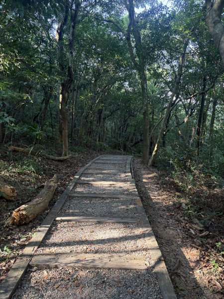 20251004_碧山露營場＿長壽坡＿大崙尾山步道2904723