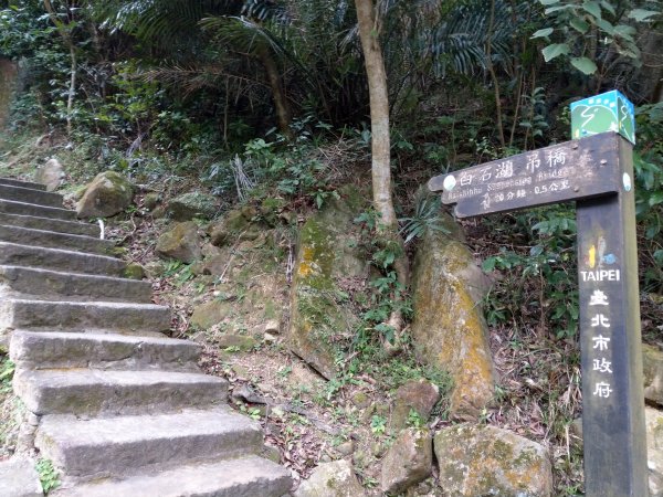 圓覺寺步道1453886