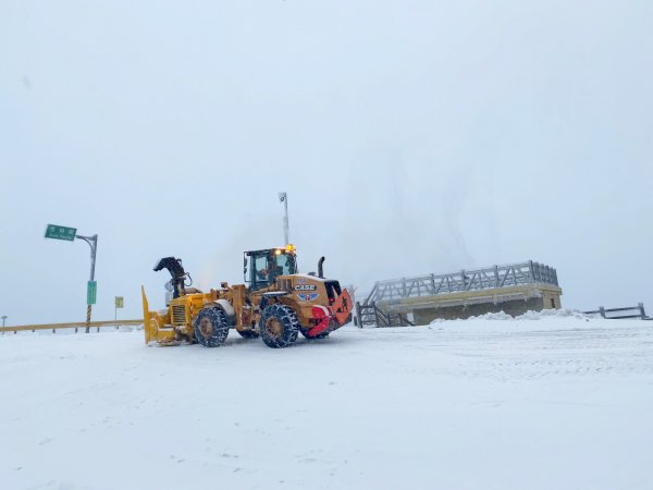 合歡銀白北國風情追雪趣 20211111235469