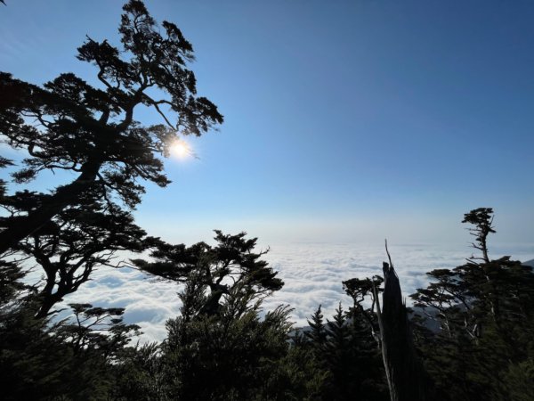 見證最美麗北大武山雲海、鐵杉1318817