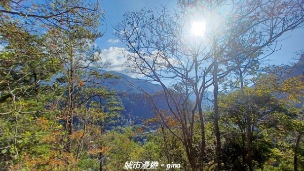 【台中和平】捎來步道x2025山谷燈光節2958000