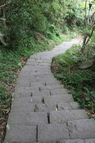 1031007硬漢嶺步道3098132