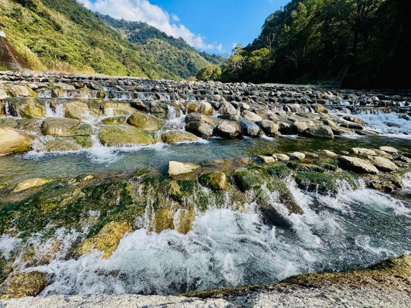 雪山坑登山步道尋巨人2978272