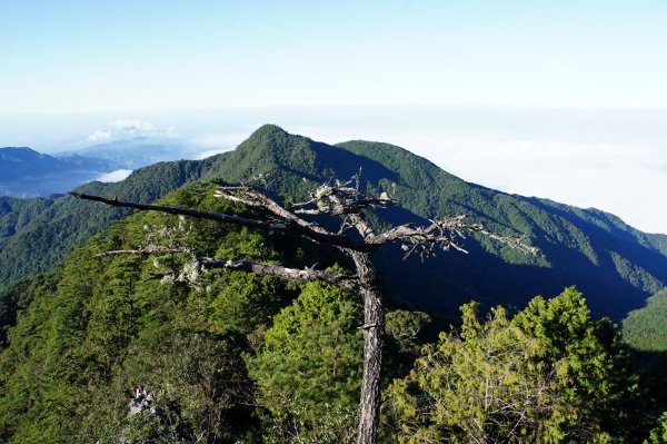 台中 和平 鳶嘴山2926861