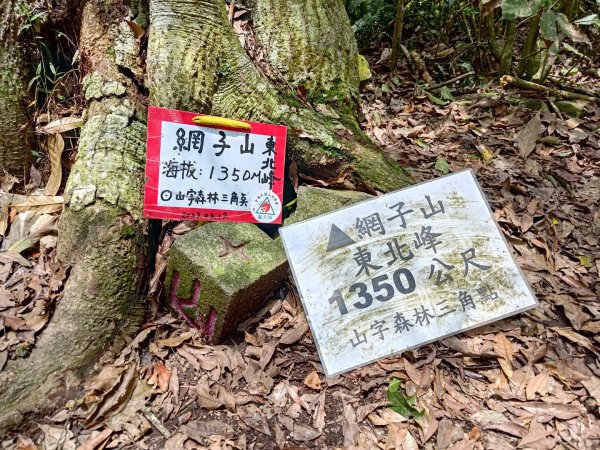 鳴海山、龍頭山步道2157067