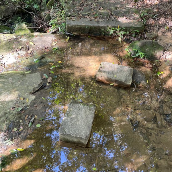 20241130 臺北大縱走第五段：捷運劍潭站至碧山巖（小百岳-劍潭山）2969056