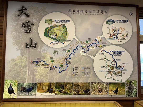 大雪山森林遊樂區2737477