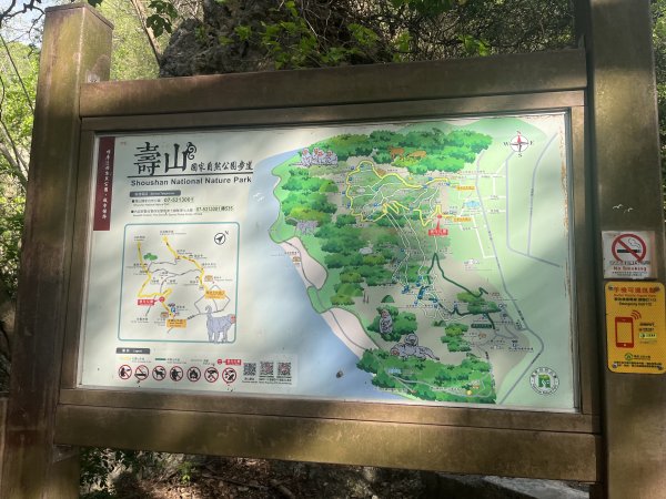 [踢不爛大地遊戲-10/10] 2024_0505 北柴山登山步道(北壽山)2496854