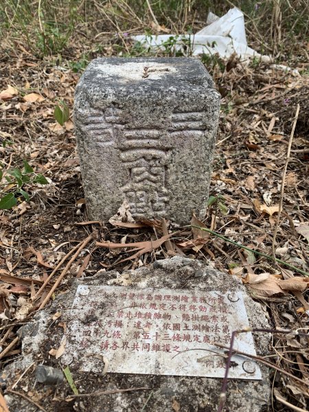 20250405屏東頂楓港山-上楓港山2757498