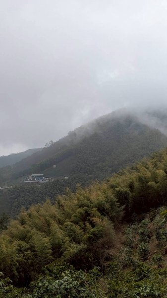 雲嘉五連峰 (大尖山、二尖山、馬鞍山、梨子腳山、太平山)2991075