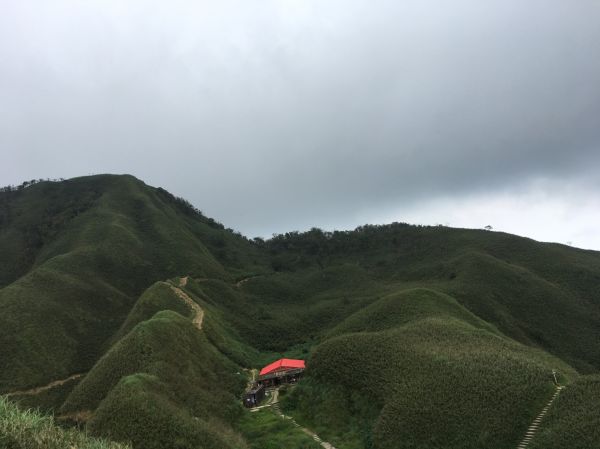 聖母山莊歩道 106.07.10(一)151572