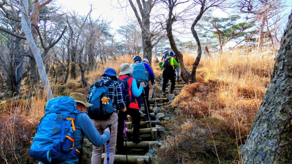 鹿兒島韓國岳,白鳥山3028346