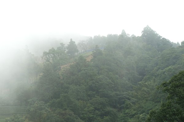 南山寺觀景台3086096