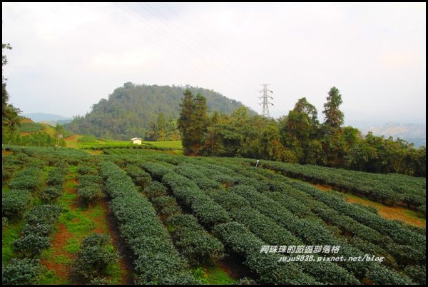 南投。日月潭向山自行車道繽紛落羽松。貓囒山浪漫紅葉步道504398