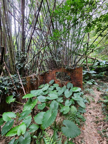 112/2/23龍鳳連稜2148205