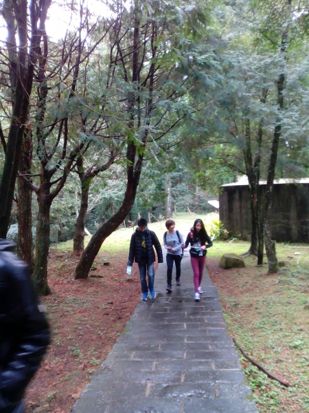 東眼山國家森林遊樂區 104.02.1652422