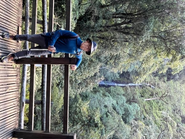 20241010_觀霧森林遊樂園區2855698