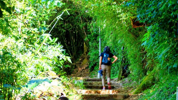 向天蝦不蝦2936799