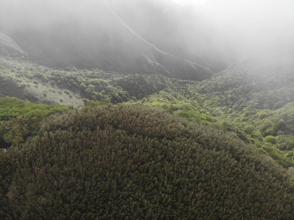 大屯溪古道-小觀音山北峰-主峰-北北峰-西北峰-竿尾崙山-竿尾崙古道-大屯溪古道O型110.4.231363931