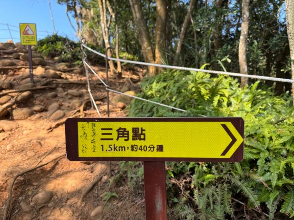 苗栗縣三義鄉小百岳火炎山（3-159），南鞍古道O形。台中市大安區下九（3-158）平地基石2340902