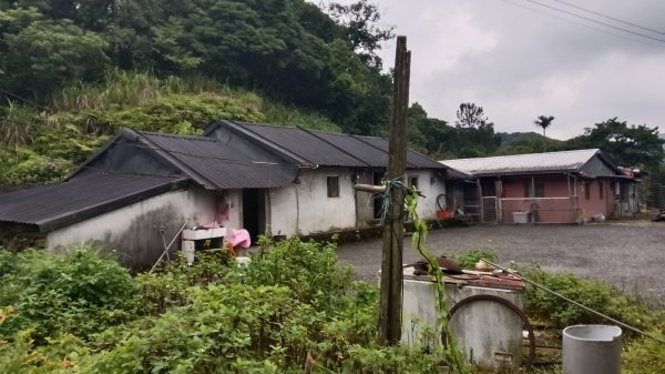 雙溪區豎旗山北稜線-豎旗山-豎旗山南峰-烏山尖-鄒家古厝-保成坑口站O型3071237