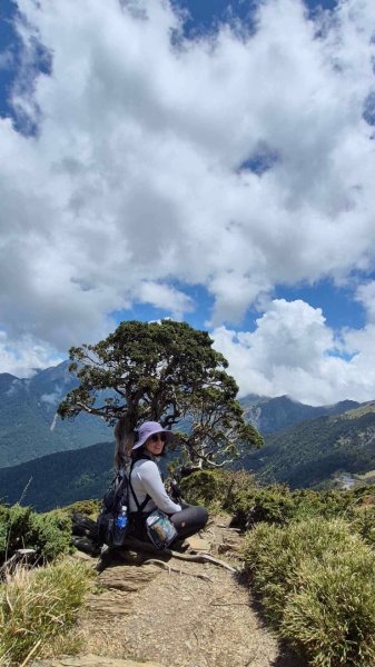 20250515-20250516 《登》合歡群峰