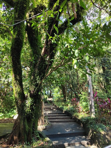 2023.12.14 紅淡山2826453