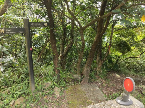 淡蘭北路第四段：瑞芳車站至雙溪車站3113218