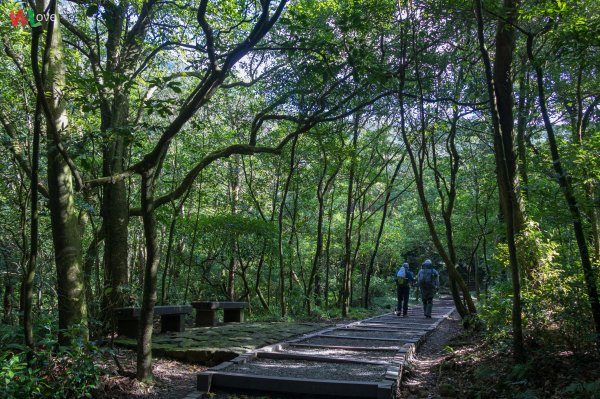 WL 愛旅行【凱達格蘭山】501090