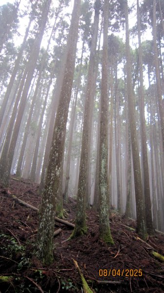 【油羅山/露營】 仙境舒活健走，雲端徜徉野趣！2887928