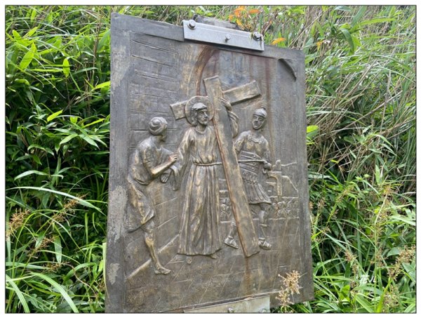 聖母峰、三角崙山 (抹茶山) 連走2802217