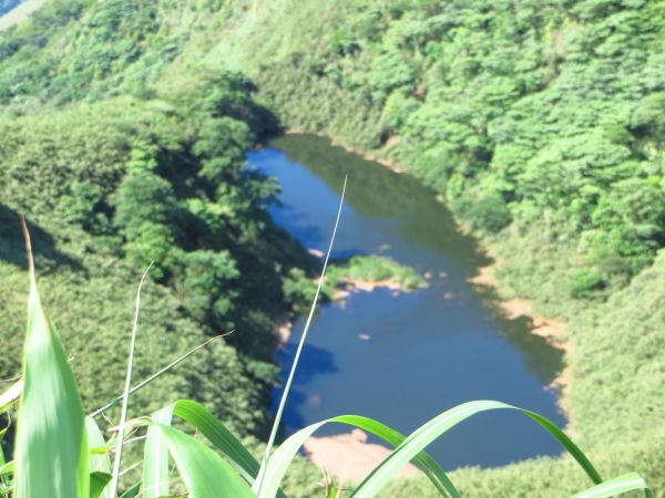 豪大梅雨後的七星池景..133732