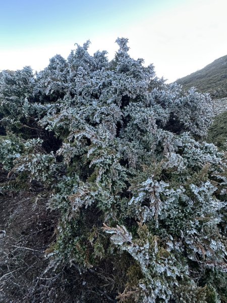 2024/12/20~12/22 帶76歲爸爸補考被山陀兒颱風趕下山~未竟的南玉山，2024完成玉山2675144