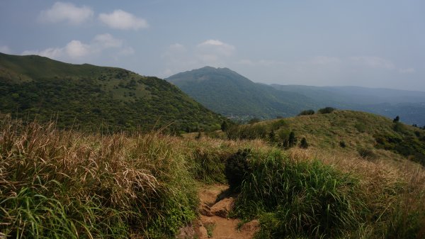 陽明山西段縱走 O形1916379