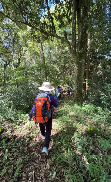 瞭望台-瓊山-望美山-獵人古道2887714