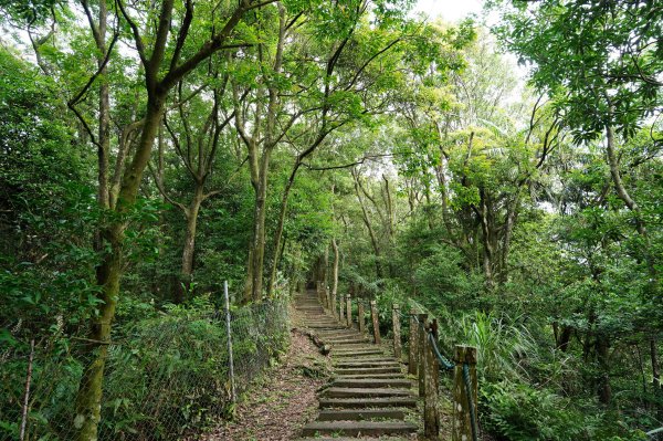 新北 新店 獅仔頭山、粽串尖、大丘田山2804273