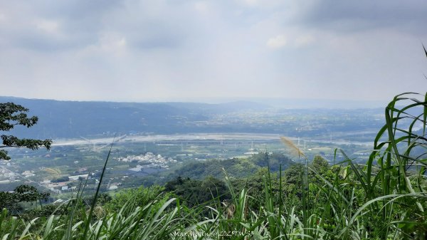 《南投》峰峰相連｜草屯九九峰森林步道O型202509062879258