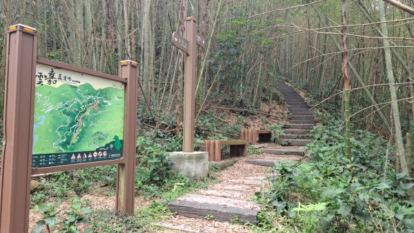 20240523嘉義梅山梨子腳山-太平老街-太平雲梯吊橋2511310