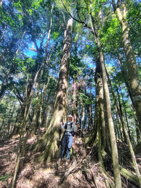 南東眼山連走有勝山2918743