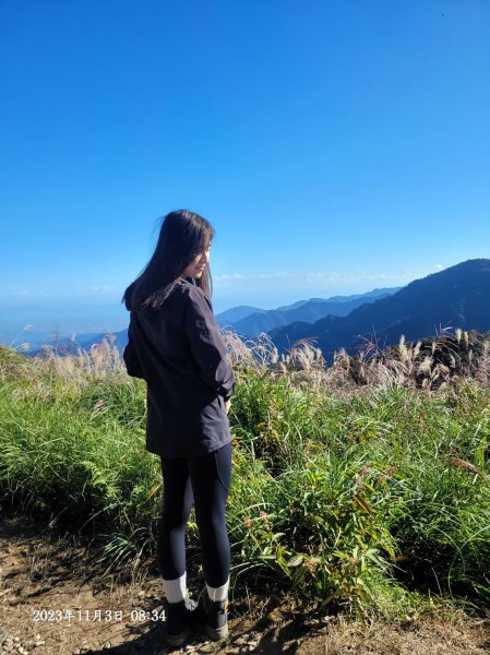 三星山+三星池+望洋山+太平山山毛櫸2432937