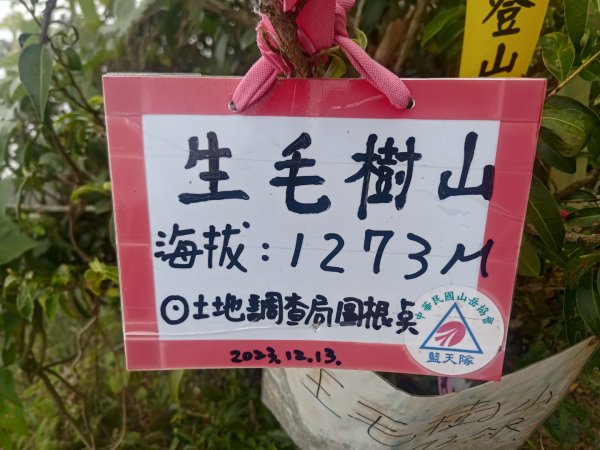 梅山鄉撿山頭2449431