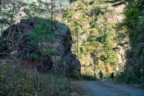 2025-02-07 北港溪峽谷步道2708296