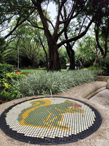 大安森林公園、瑞陽公園、大港墘公園、宏匯瑞光廣場【走路趣尋寶】【臺北健走趣】2574705