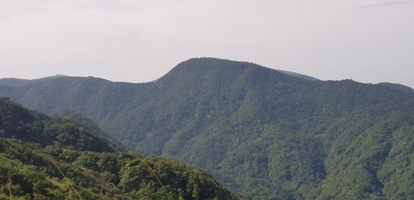 劍竹林步道-竹子湖頂湖環狀步道742579