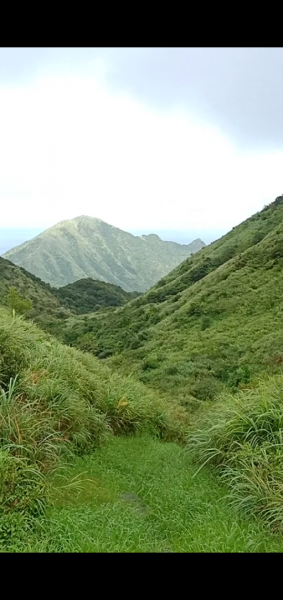 雨濛濛的私房雨天景點，貂山古道-本山地質公園394627