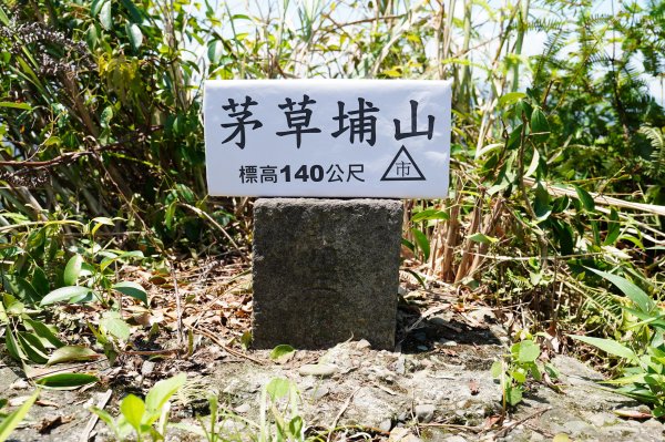 臺北 南港 南港山、拇指山、象、獅、豹、虎、四分里山、茅草埔山2803474