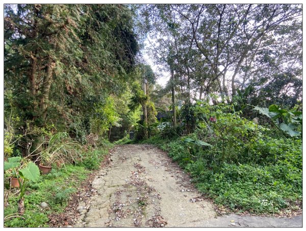 頭寮山、內湳溝山、牛角湳西南峰O型連走2738986