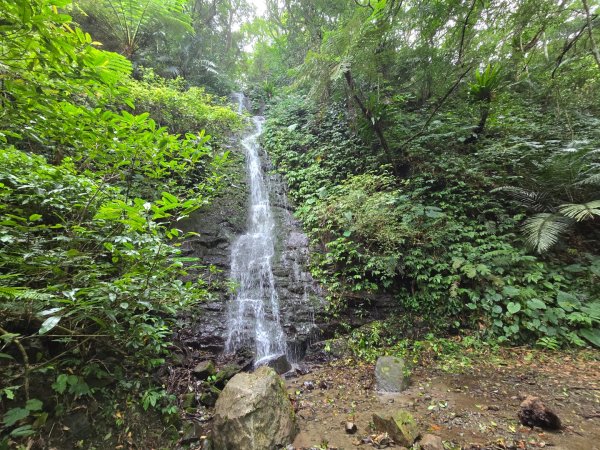 馬武督探索森林、外鳥嘴山2860605